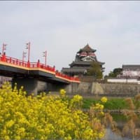 清洲城のさくら