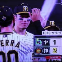 プロ野球阪神ーヤクルト戦 甲子園球場