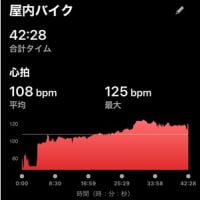 Nちゃんの一周忌 & 今日のトレーニング