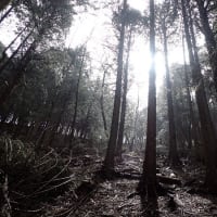 (158)高畑山～（159）天神山～（160）倉岳山