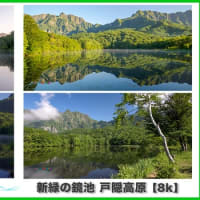 【EOS R5 8K RAW】新緑の戸隠鏡池と自然音_野鳥の囀り　長野県長野市