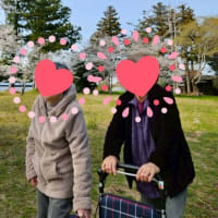 春のお花見ダイジェスト
