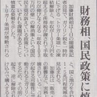 国民民主党の「トリガー条項」「103万円の壁」ってどうなの？