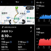 草むしりボランティア & 今日のトレーニング