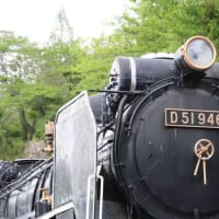 GWのお出掛け　その４は