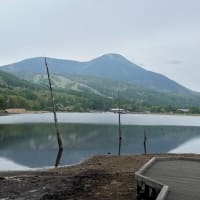 春歌う緑の氣満る森行けば・・・富士山めぐりと信州春旅2025＜４＞