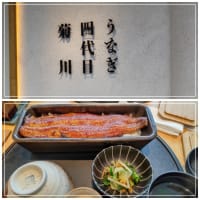 慌ただしくお出かけを！