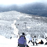 蔵王温泉スキー場　スノーボードツアー2024　5-1