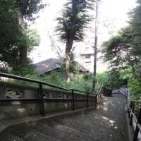 和光市白子の百段階段！ふらりとやって来ました。実際は77階段でした。