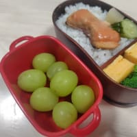 最近のお弁当