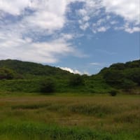 午後からウォーキング