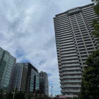 梅雨本番なのか？
