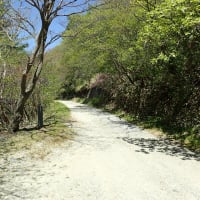 老松温泉　喜楽旅館