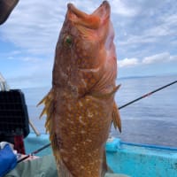 宝昌丸　7月9日・10日の釣果