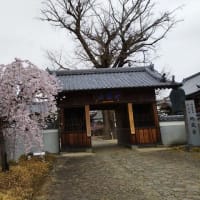 春巡礼、初日