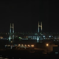 ホテルニューグランド　14　（神奈川県横浜市中区）