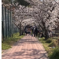 今日いち-2025年4月6日
