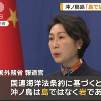 都合の良いように解釈する隣国に、相変わらず凄いよと呆れる…(;´д｀)ﾄﾎﾎ…