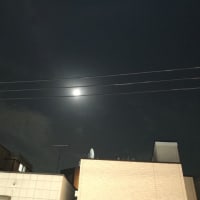 キレイなお月様
