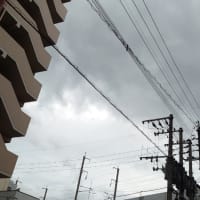 今日の博多３３９　【天気良くないな】