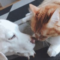 ヒーバーちゃんご立腹。