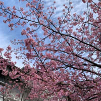 懐かしい景色