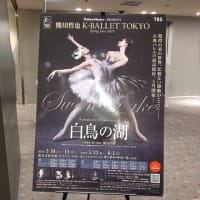 白鳥の湖