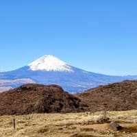 今年のご健康と健幸をお祈りいたします
