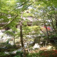 06/25奈良京都の旅-13（高台寺、知恩院、銀閣寺）