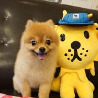 【２０２５年７月１３日・ハナ】
