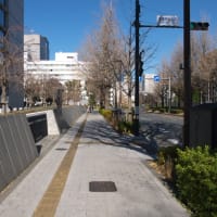 １月の霞が関：財務省上交差点～総理大臣官邸前～参議院通用門前交差点へ　ＰＡＲＴ２