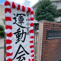 頑張った小学校の運動会