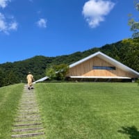 はるばる越後駒ヶ岳に登ってきました〜下山のあとは八海山酒造の食堂へ〜