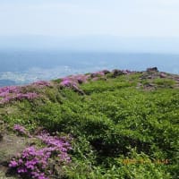 阿蘇中岳・高岳東峰　 6月1日(日)