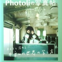 永井荷風 濹東綺譚 あらすじと感想 積ん読の部屋