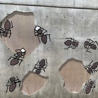 熊谷守一美術館