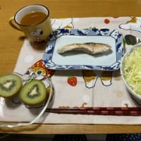 今日の晩御飯