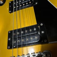 81年製 Burny FLG90