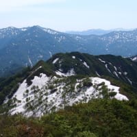 新潟の山に登りました