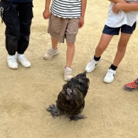 学童クラブ☆ニワトリの『きよちゃん』と遊ぶ学童の子どもたち♪