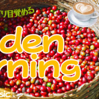 【Lively Morning Playlist】朝の元気なミュージック🍳☕🍞 闘いを終えて、ひそやかな喜びを♪ Night Stories🌜朗読と動く絵本🌛サブ