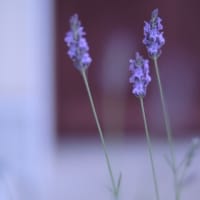 今までありがとう