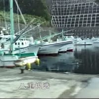 八丈小島もあるく　よみがえれ　三宅島応援ツアー　１１回目　八丈島