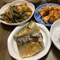 キュウリを食べる