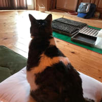 ザーってなること。
