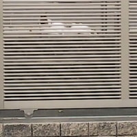 お昼寝のニャンコ様