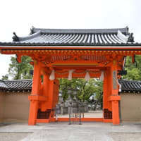 西宮神社は七五三とお宮参りで大賑わい　１０月２２日