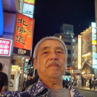本日は言い訳