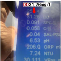Saturated water generating device PAT．P（飽和水生成装置）
