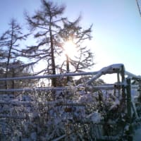厳冬　吹雪の夜のくちづけは　凍えるんだぜ